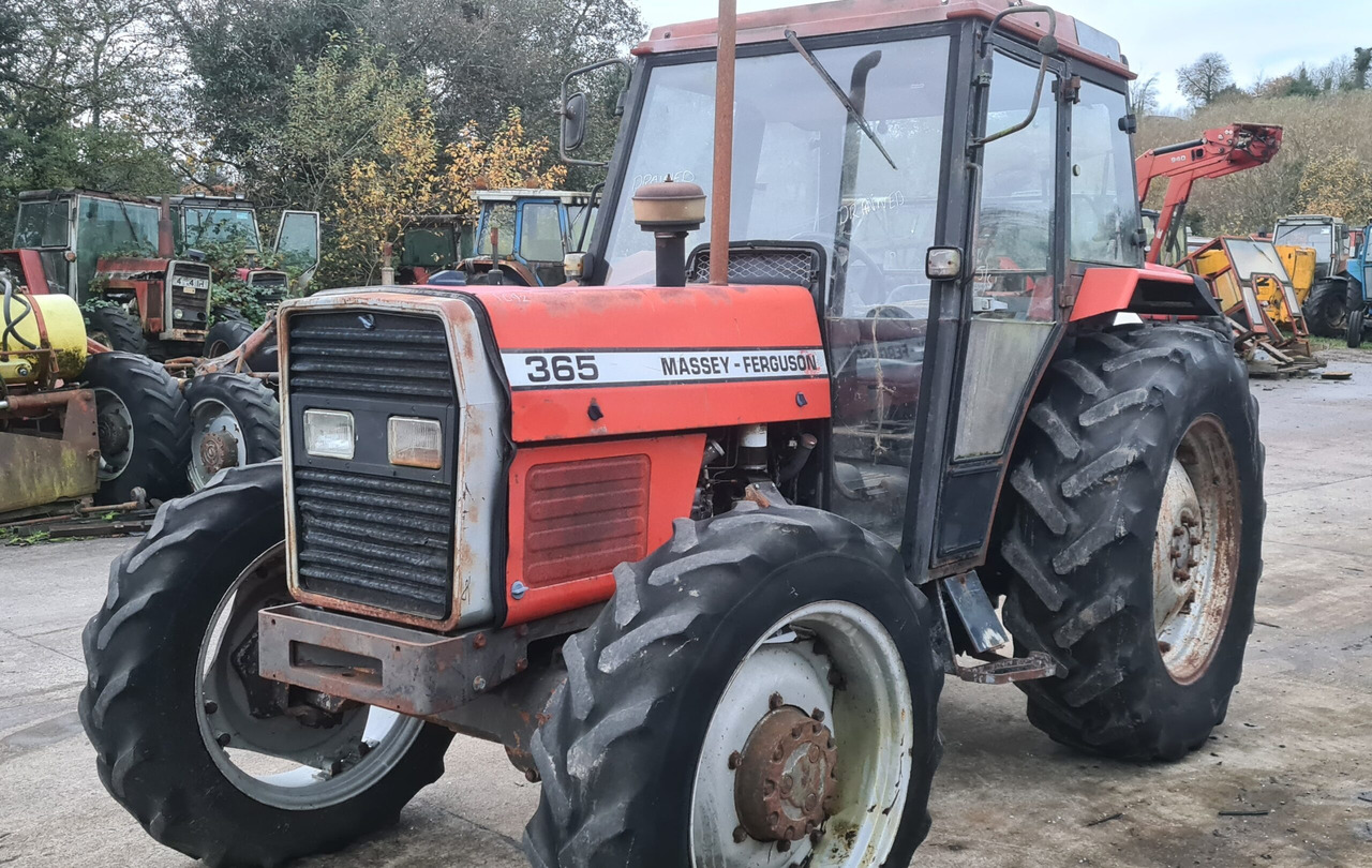 365 4wd - Tractor: foto 2 365 4wd - Tractor: foto 2