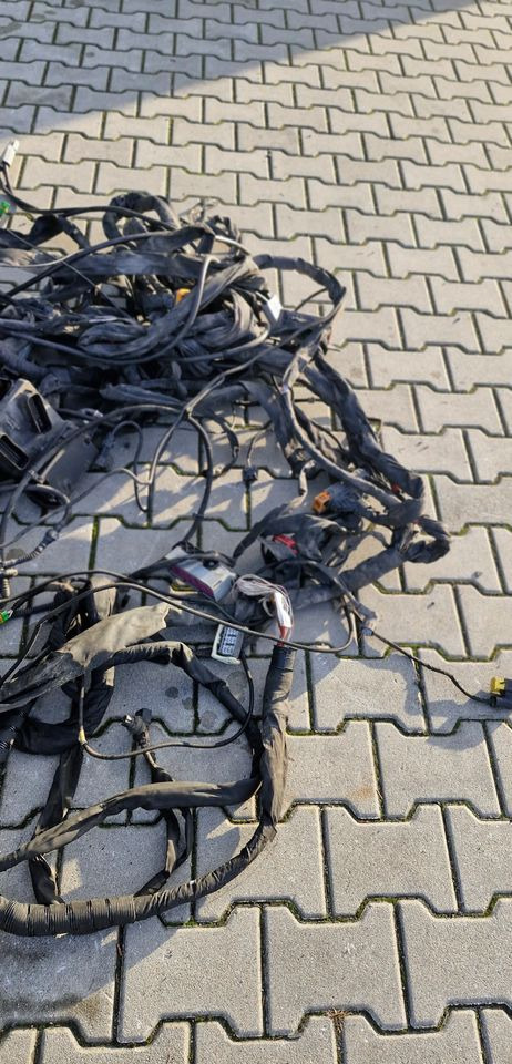 MAN TG3 TGX WIĄZKA ELEKTRYCZNA RAMY - Sistema eléctrico: foto 4 MAN TG3 TGX WIĄZKA ELEKTRYCZNA RAMY - Sistema eléctrico: foto 4