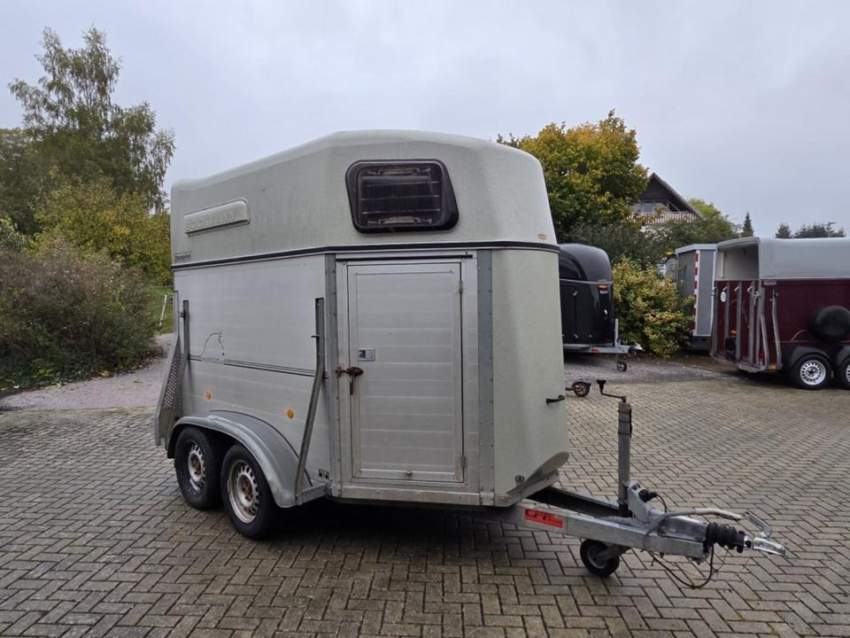 Böckmann, Pferdeanhänger, Champion, 100 km/h - Remolque para caballos: foto 2 Böckmann, Pferdeanhänger, Champion, 100 km/h - Remolque para caballos: foto 2