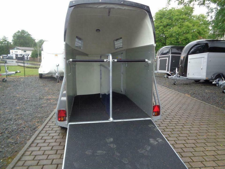 Böckmann Pferdeanhänger Champion Esprit, Aluboden, SaKa. - Remolque para caballos: foto 5 Böckmann Pferdeanhänger Champion Esprit, Aluboden, SaKa. - Remolque para caballos: foto 5