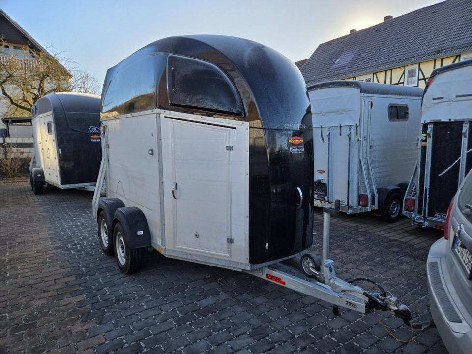 Böckmann, Pferdeanhänger, Champion R, top, SaKa. 100 km/h - Remolque para caballos: foto 5 Böckmann, Pferdeanhänger, Champion R, top, SaKa. 100 km/h - Remolque para caballos: foto 5