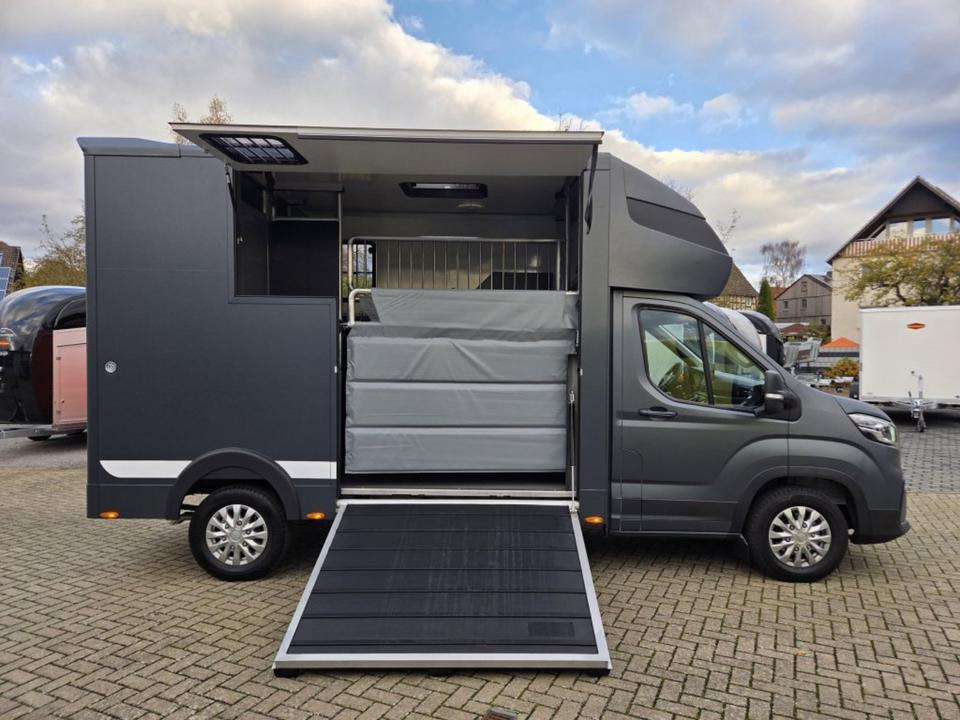 MSG Stablehopper Pferdetransporter Pferdeanhänger Böckmann - Camión para caballos: foto 5 MSG Stablehopper Pferdetransporter Pferdeanhänger Böckmann - Camión para caballos: foto 5