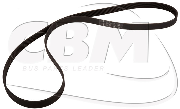 HUTCHINSON BELT - VDL JONCKHEERE VOLVO IRISBUS - IVECO - RVI (06405073440 | 20424072 | 85003247 | 5021179954) - Correa para Autobús: foto 1 HUTCHINSON BELT - VDL JONCKHEERE VOLVO IRISBUS - IVECO - RVI (06405073440 | 20424072 | 85003247 | 5021179954) - Correa para Autobús: foto 1