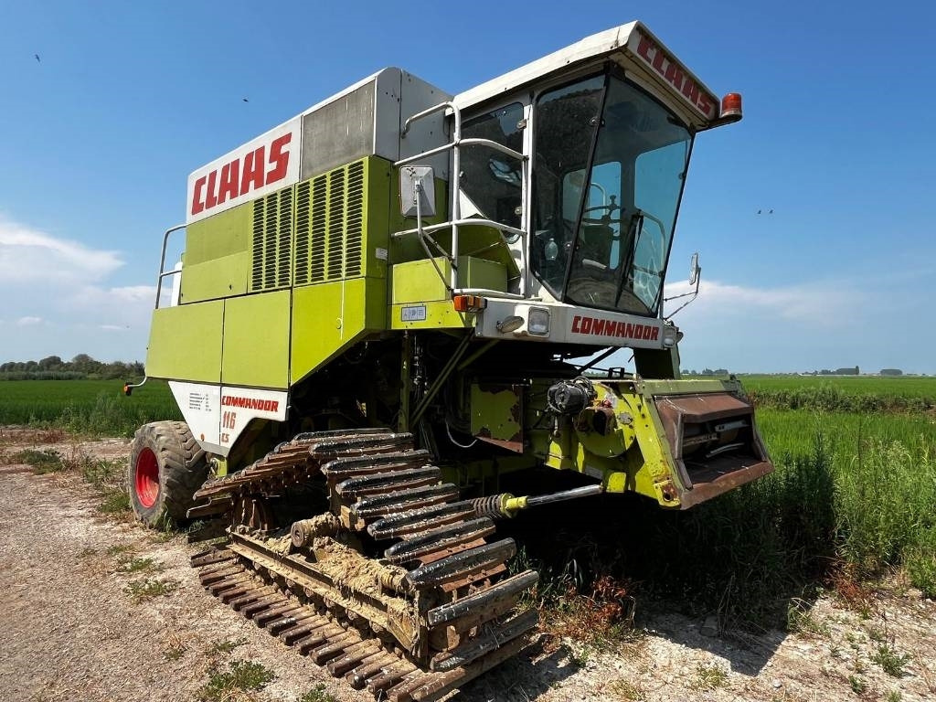 Claas COMMANDOR 116 CS RISO - Cosechadora de granos: foto 1 Claas COMMANDOR 116 CS RISO - Cosechadora de granos: foto 1