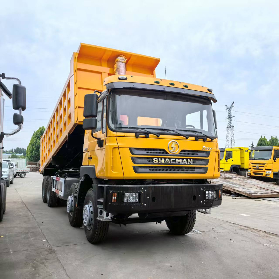SHACMAN F3000 8X4 CLICK HERE FOR DISCOUNT - Camión volquete: foto 2 SHACMAN F3000 8X4 CLICK HERE FOR DISCOUNT - Camión volquete: foto 2
