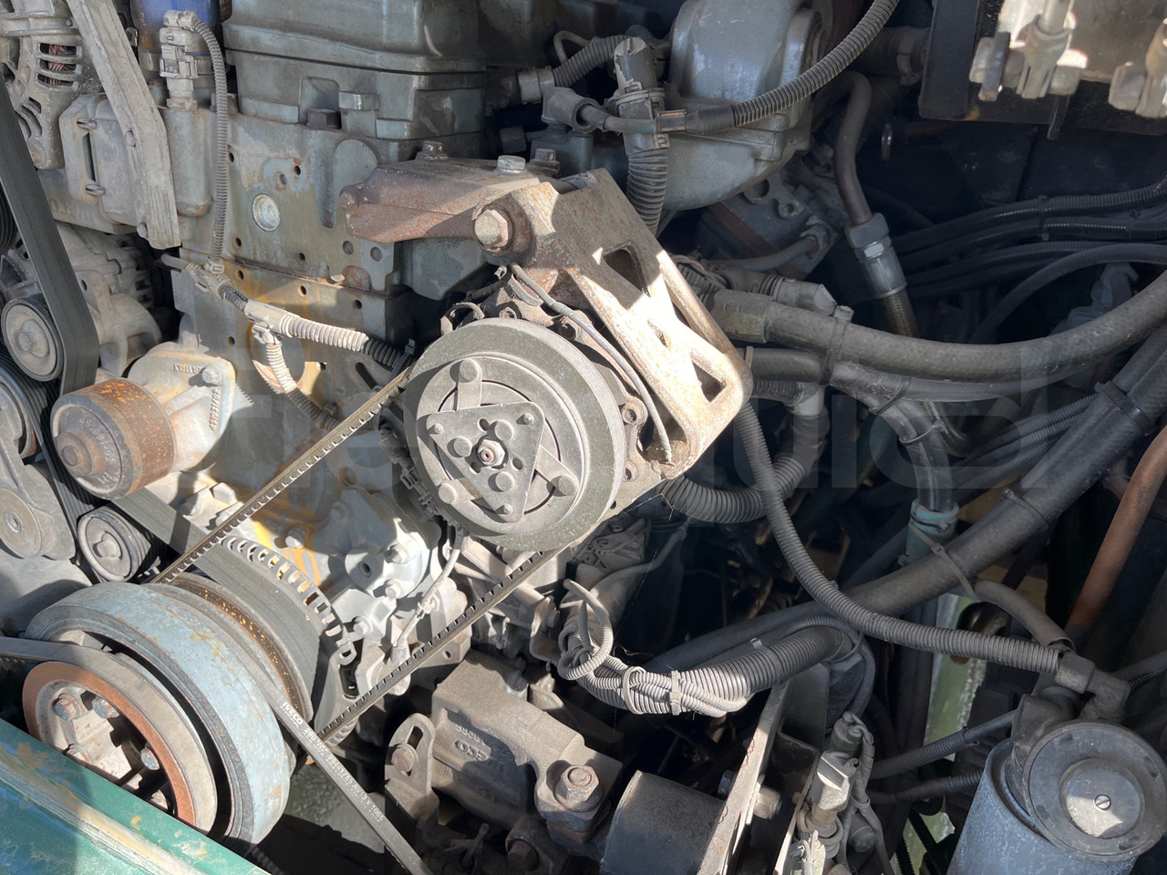 Autobús suburbano Iveco Cacciamali: foto 16 Autobús suburbano Iveco Cacciamali: foto 16