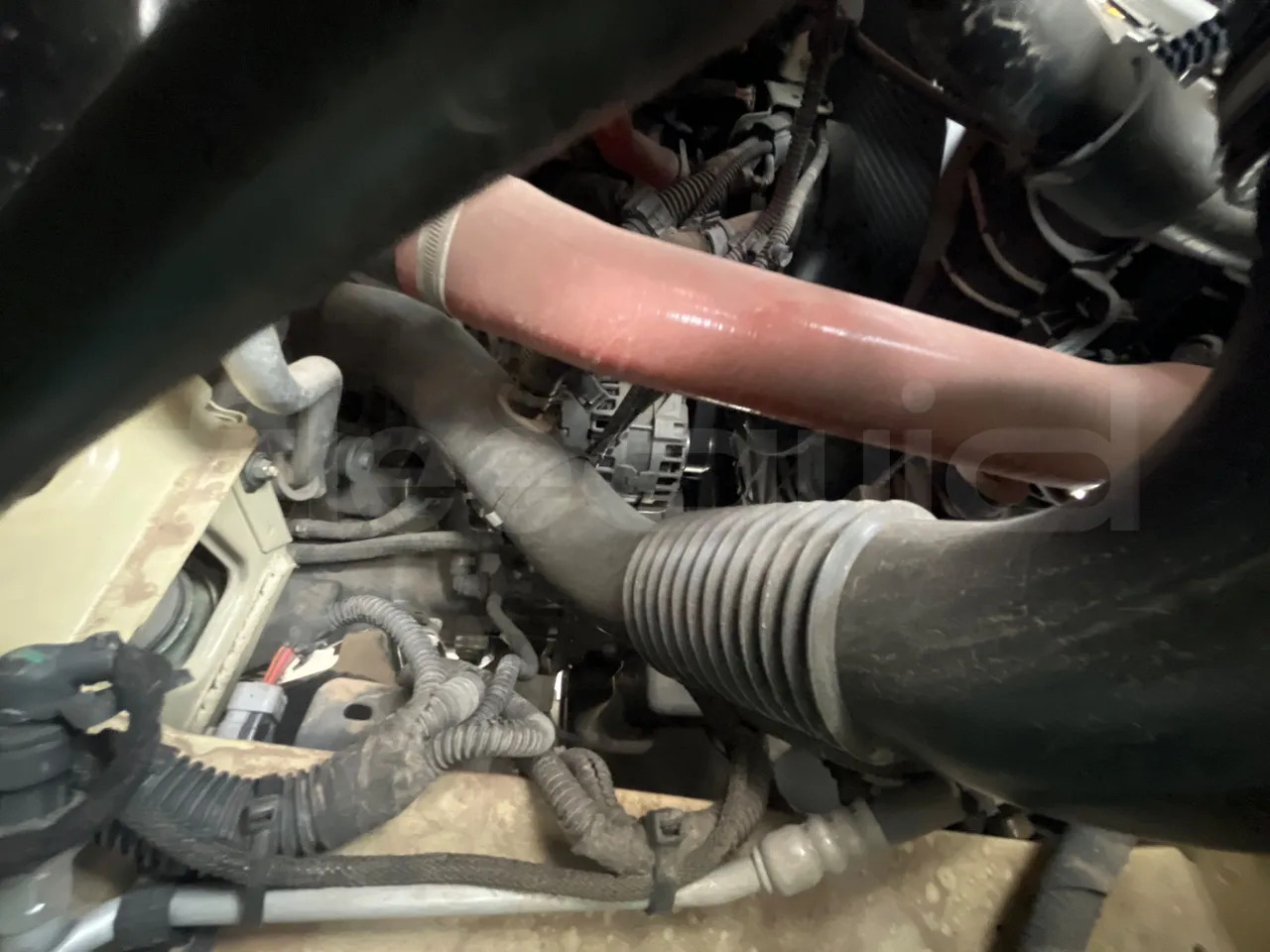 Autocar Iveco Indcar: foto 16