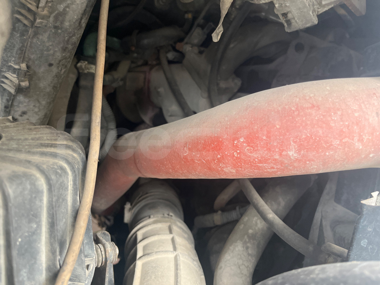 Arrendamiento de  Iveco Orlandi Happy Iveco Orlandi Happy: foto 13