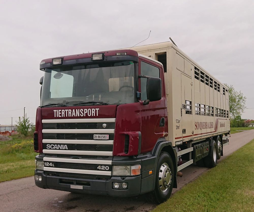 Scania 124 420 Do żywca - Camión transporte de ganado: foto 4 Scania 124 420 Do żywca - Camión transporte de ganado: foto 4