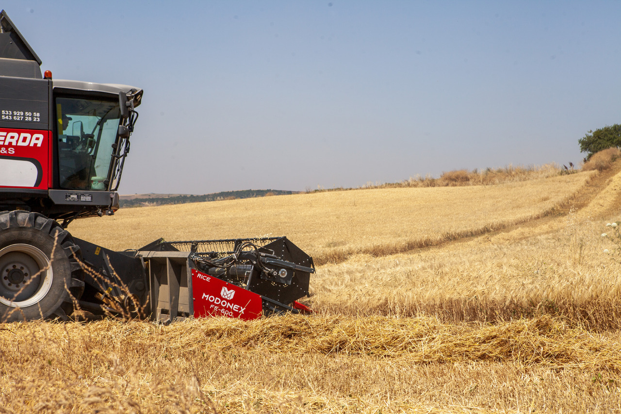 Cabezal de grano nuevo Modonex FE-600: foto 5 Cabezal de grano nuevo Modonex FE-600: foto 5