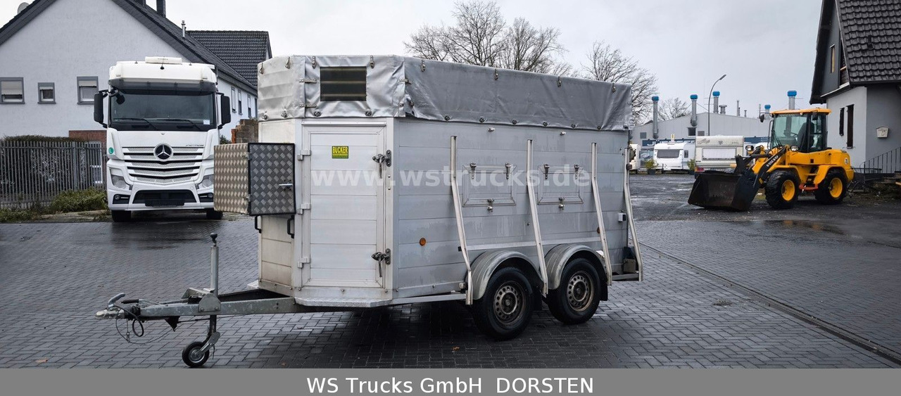 Blomert V30 Großvieh Vollalu Seilwinde Viehanhänger - Remolque transporte de ganado: foto 2 Blomert V30 Großvieh Vollalu Seilwinde Viehanhänger - Remolque transporte de ganado: foto 2