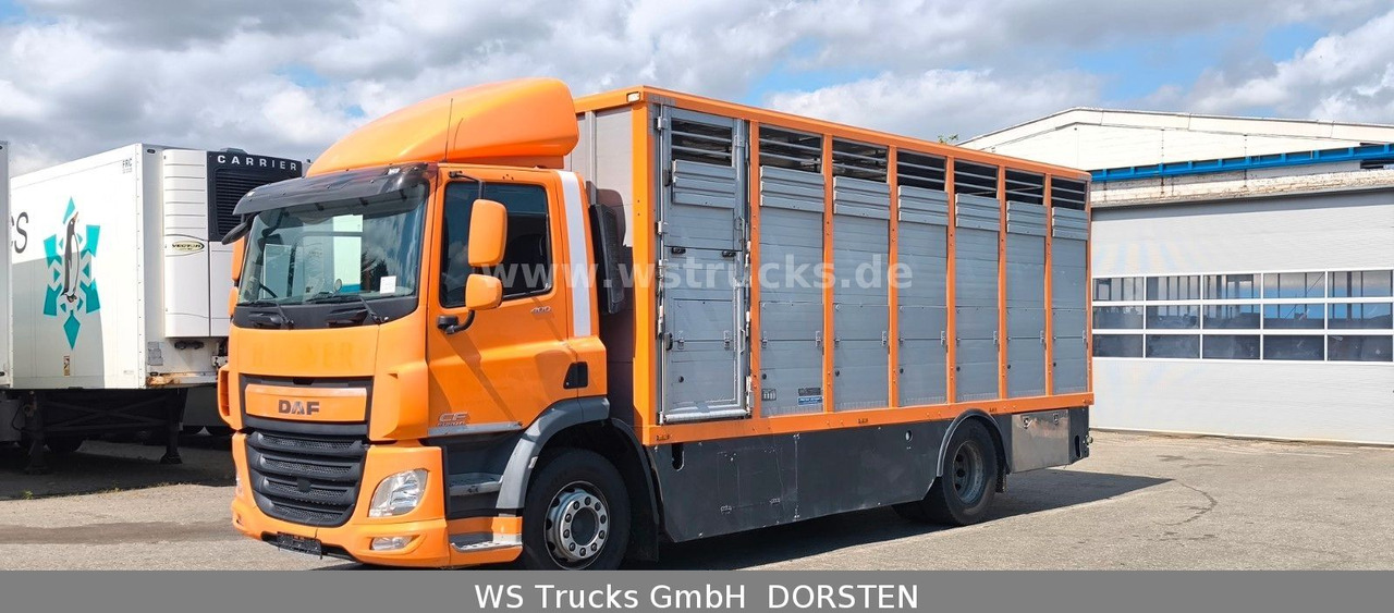 DAF CF 400 Menke Einstock Viehtransporter - Camión para caballos: foto 3 DAF CF 400 Menke Einstock Viehtransporter - Camión para caballos: foto 3