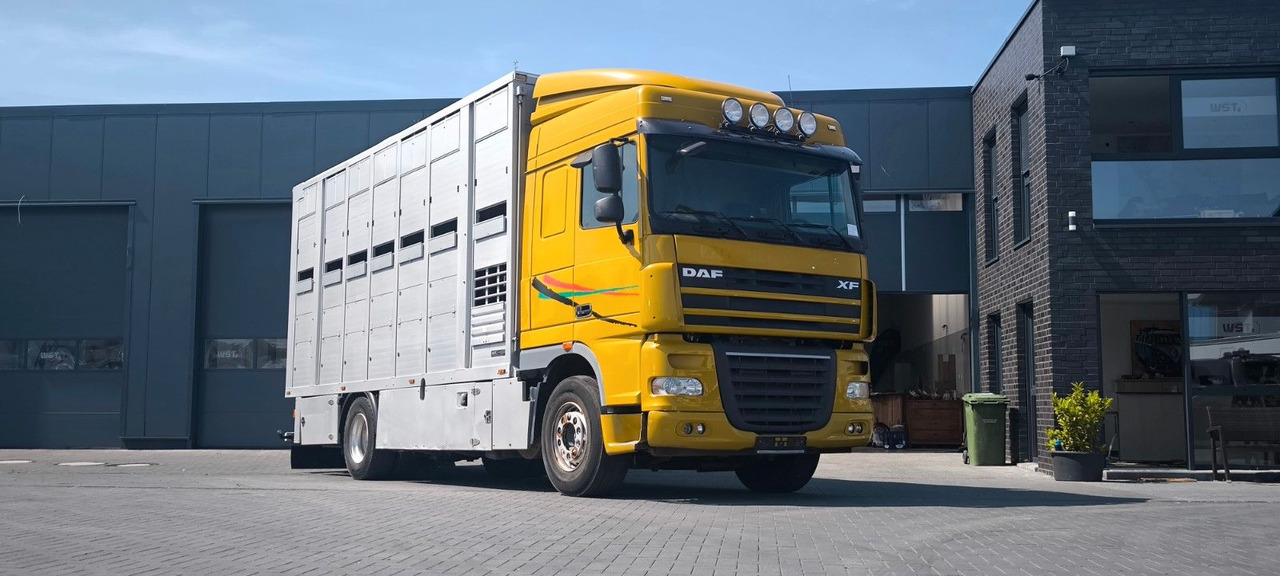 DAF XF 410 SC Menke Doppelstock - Camión para caballos: foto 4 DAF XF 410 SC Menke Doppelstock - Camión para caballos: foto 4