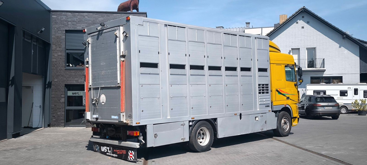DAF XF 410 SC Menke Doppelstock - Camión para caballos: foto 3 DAF XF 410 SC Menke Doppelstock - Camión para caballos: foto 3