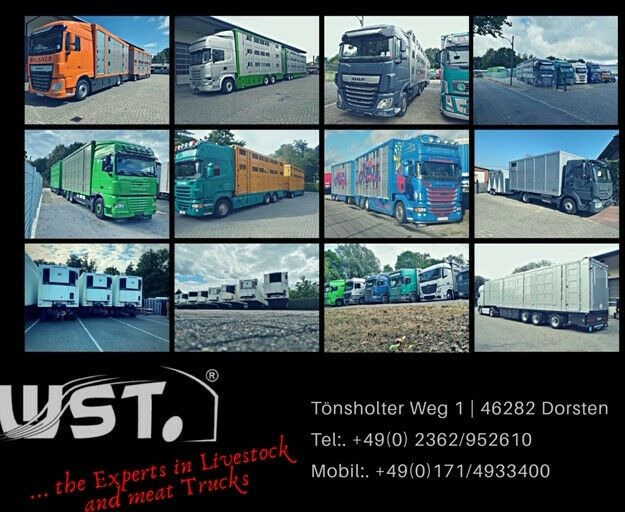 Cargadora articulada nuevo Schäffer 4260 Neuwertig Typ L-H: foto 17