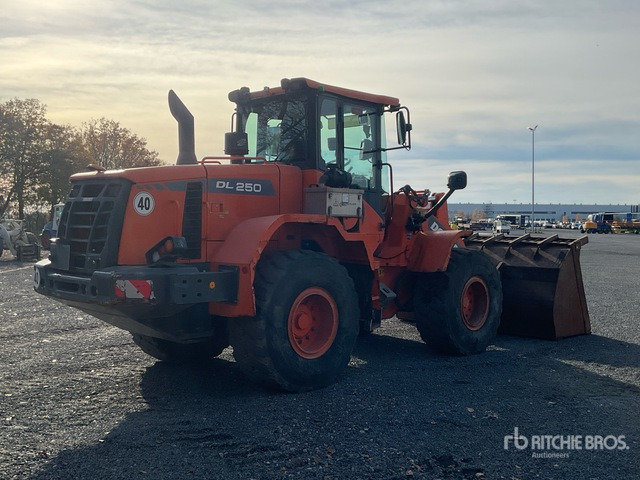 2016 Doosan DL250-3 Wheel Loader - Cargadora de ruedas: foto 3 2016 Doosan DL250-3 Wheel Loader - Cargadora de ruedas: foto 3