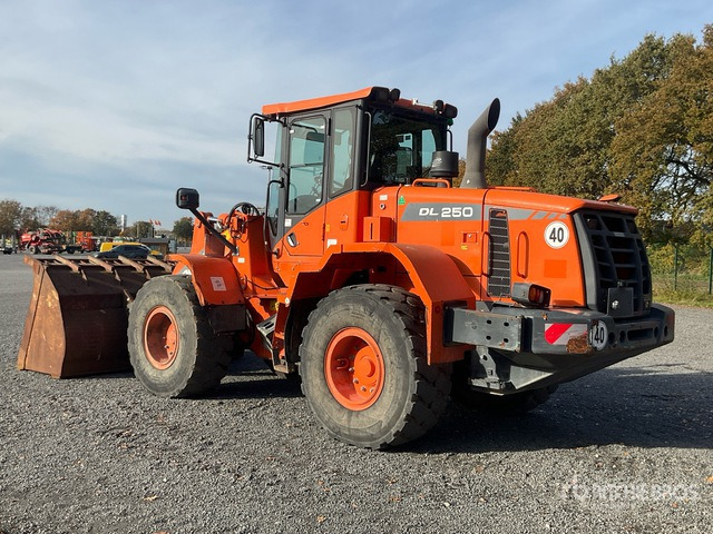 2016 Doosan DL250-3 Wheel Loader - Cargadora de ruedas: foto 4 2016 Doosan DL250-3 Wheel Loader - Cargadora de ruedas: foto 4