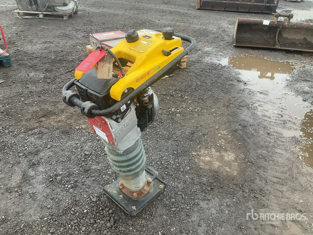 2020 Wacker Neuson BS50-2plus Demolition Breaker Jumping Jack Tamper - Vibroapisonador: foto 2 2020 Wacker Neuson BS50-2plus Demolition Breaker Jumping Jack Tamper - Vibroapisonador: foto 2