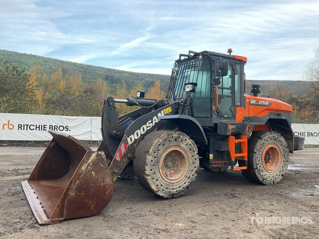 2022 Doosan DL250-7 Wheel Loader - Cargadora de ruedas: foto 2 2022 Doosan DL250-7 Wheel Loader - Cargadora de ruedas: foto 2