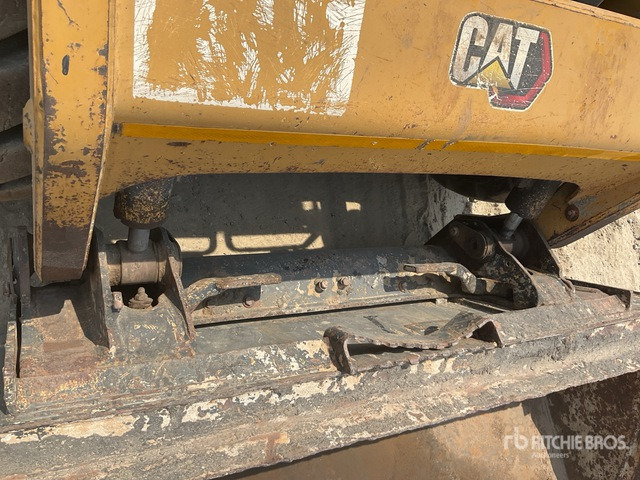 2020 Cat 216B3 - Minicargadora: foto 5 2020 Cat 216B3 - Minicargadora: foto 5