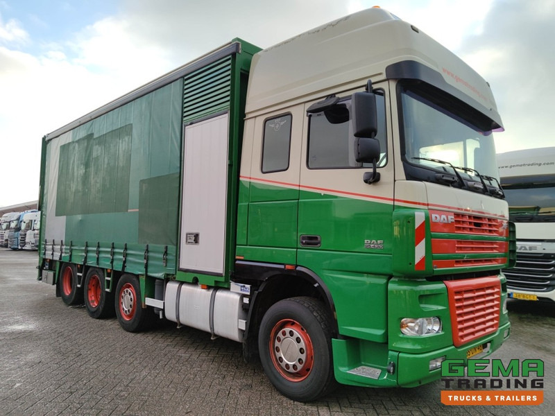 DAF FAK XF95.430 8x2 Super SuperSpaceCab Euro3 - CurtainSider 7.31m + Ramp 16T - MachineTransporter - 6 Persons (V558) - Camión portavehículos: foto 3 DAF FAK XF95.430 8x2 Super SuperSpaceCab Euro3 - CurtainSider 7.31m + Ramp 16T - MachineTransporter - 6 Persons (V558) - Camión portavehículos: foto 3