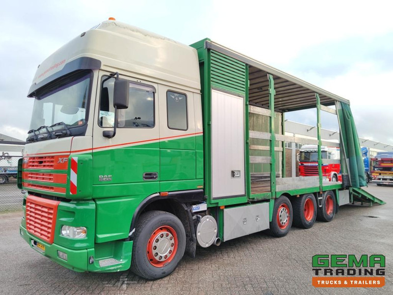 DAF FAK XF95.430 8x2 SuperSpaceCab Euro3 - CurtainSider 7.31m + Ramp 16T - MachineTransporter - 6 Persons  (V558) - Camión portavehículos: foto 1 DAF FAK XF95.430 8x2 SuperSpaceCab Euro3 - CurtainSider 7.31m + Ramp 16T - MachineTransporter - 6 Persons  (V558) - Camión portavehículos: foto 1