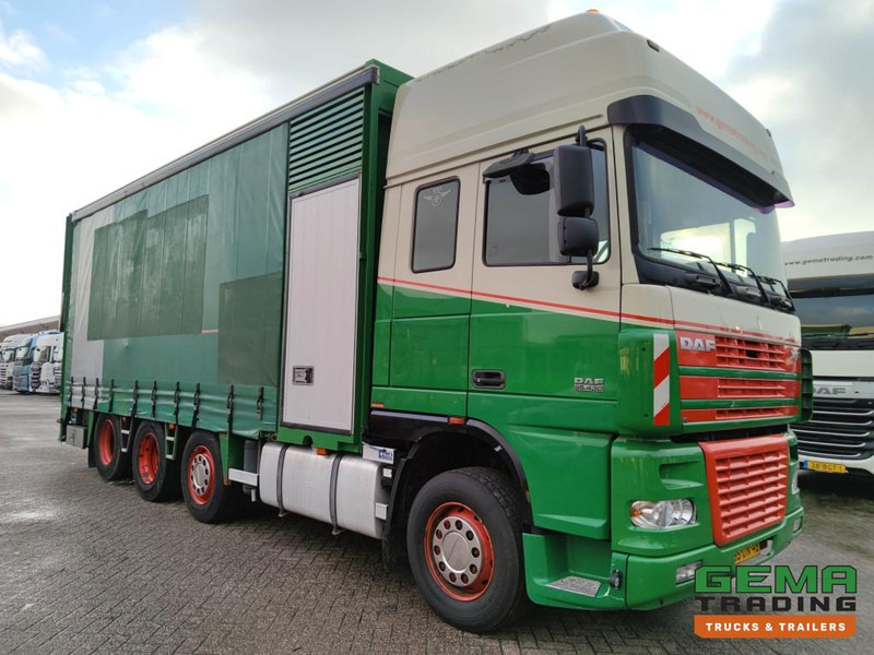 DAF FAK XF95.430 8x2 SuperSpaceCab Euro3 - CurtainSider 7.31m + Ramp 16T - MachineTransporter - 6 Persons  (V558) - Camión portavehículos: foto 3 DAF FAK XF95.430 8x2 SuperSpaceCab Euro3 - CurtainSider 7.31m + Ramp 16T - MachineTransporter - 6 Persons  (V558) - Camión portavehículos: foto 3