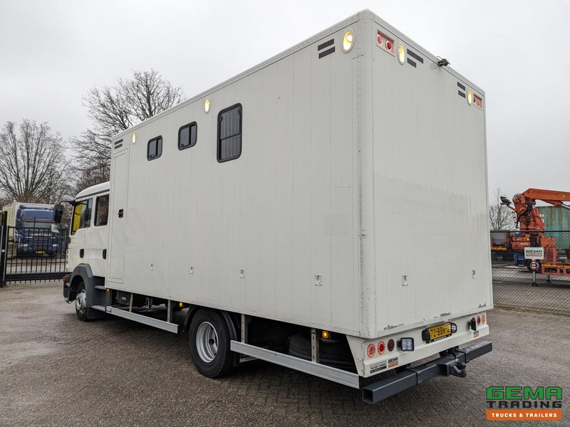 MAN TGL 12.180 4x2 DoKa 7 pers. Euro5 EEV - Paardenwagen 2-Paards - 147.000km! - MARGE - Camión para caballos: foto 4 MAN TGL 12.180 4x2 DoKa 7 pers. Euro5 EEV - Paardenwagen 2-Paards - 147.000km! - MARGE - Camión para caballos: foto 4