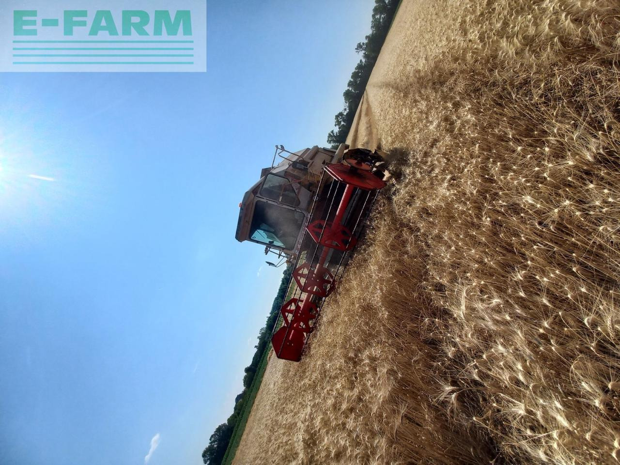 CLAAS Dominator 106 - Cosechadora de granos: foto 4 CLAAS Dominator 106 - Cosechadora de granos: foto 4