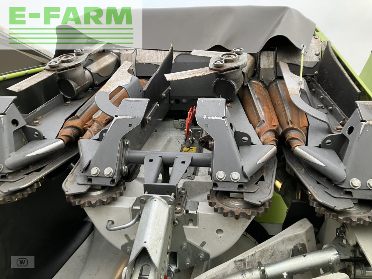 Cabezal de maíz CLAAS corio 870 fc conspeed: foto 11