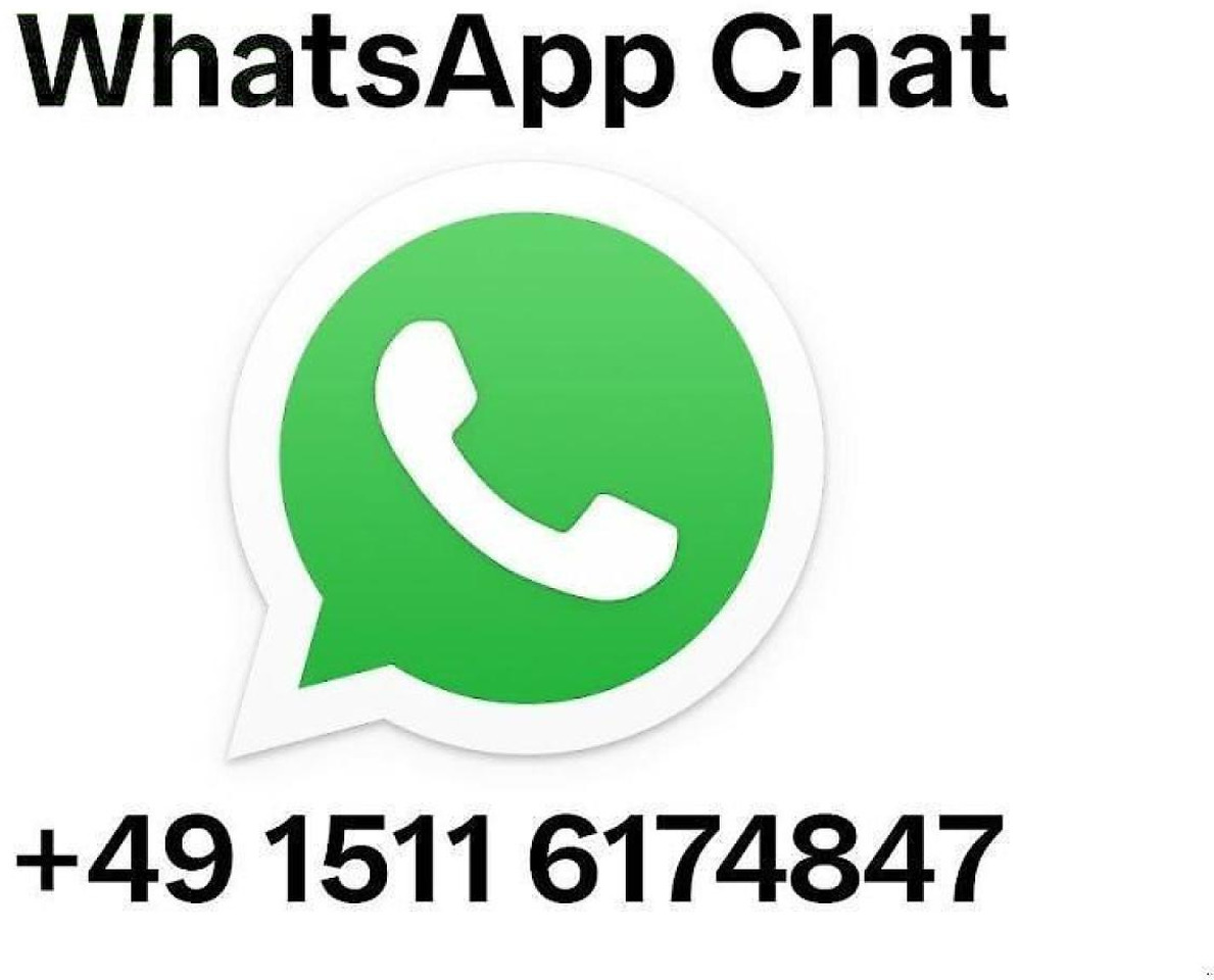 Fendt 309 vario tms # 923 - Tractor: foto 2 Fendt 309 vario tms # 923 - Tractor: foto 2