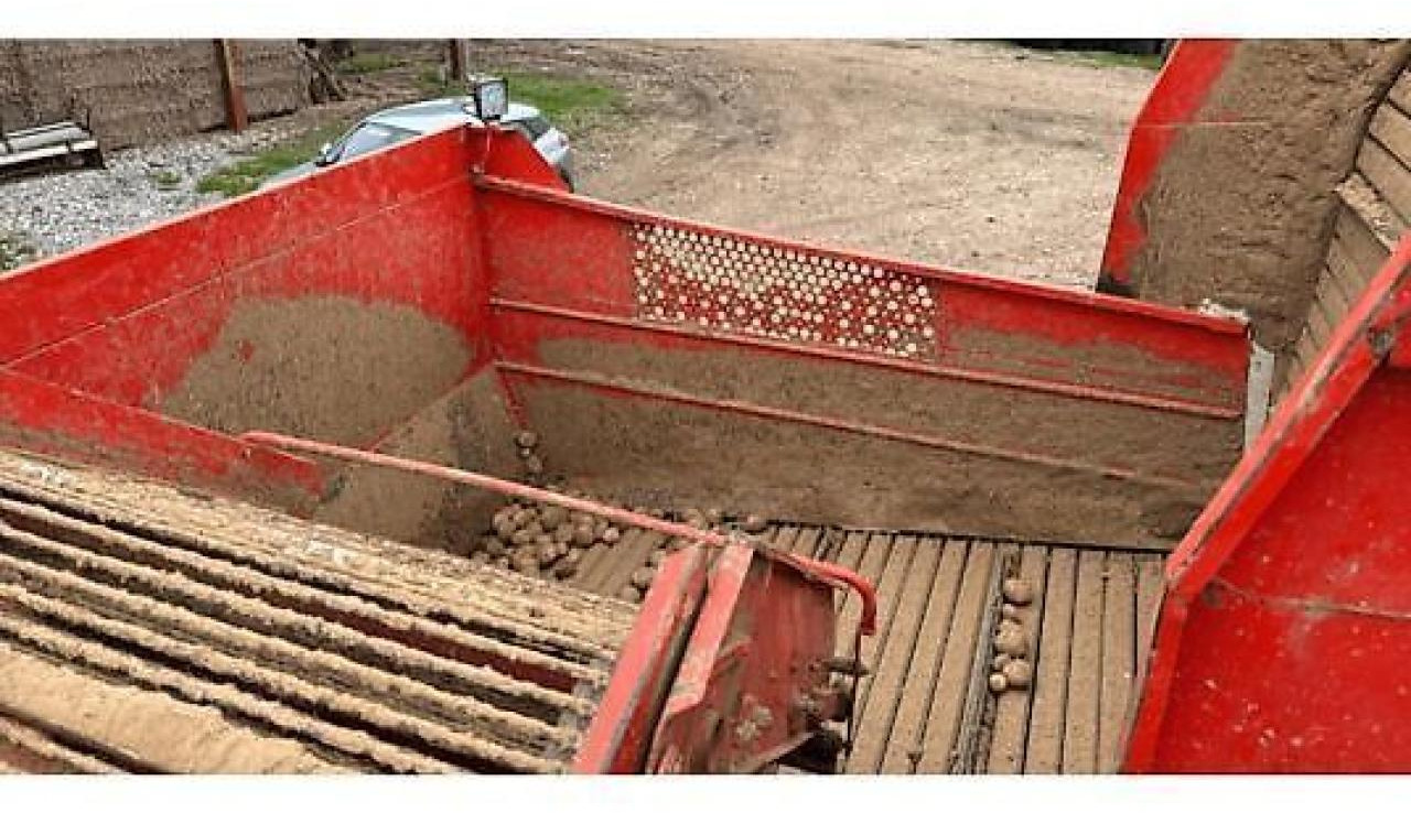 Grimme dr1500 - Cosechadora de patatas: foto 3 Grimme dr1500 - Cosechadora de patatas: foto 3