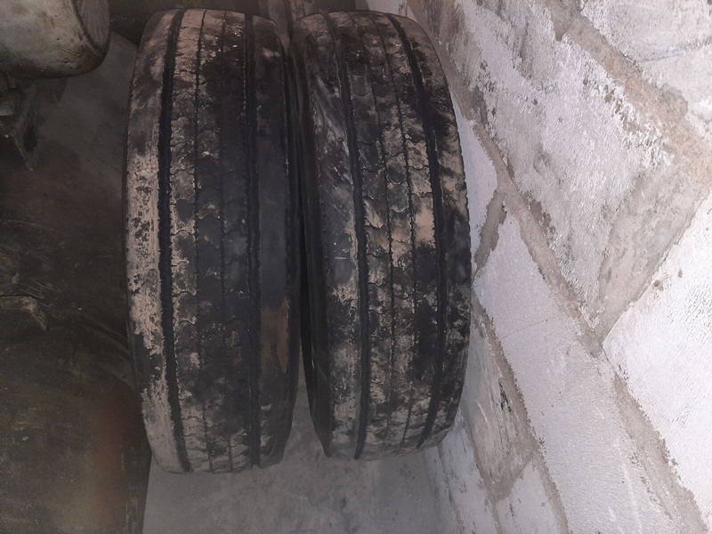Neumático para Camión Michelin 295*80R22.5 255*70 \ 275*70* 265\70R19.5: foto 14