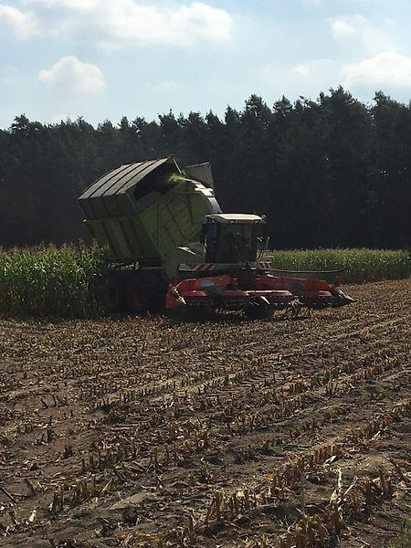 Claas Jaguar 900 Field Shuttle C 35 - Maquinaria agrícola: foto 5 Claas Jaguar 900 Field Shuttle C 35 - Maquinaria agrícola: foto 5