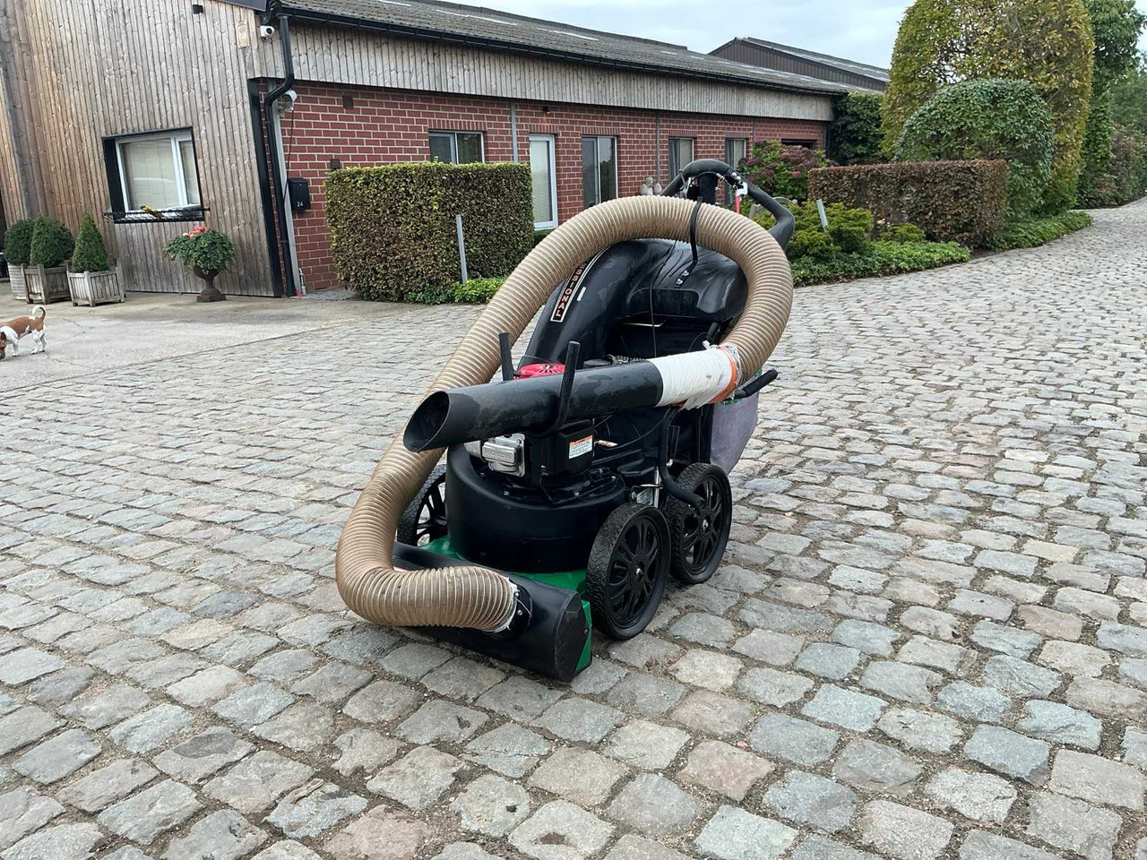 Billy Goat Mv650SPHEU - Maquinaria de jardinería: foto 1 Billy Goat Mv650SPHEU - Maquinaria de jardinería: foto 1