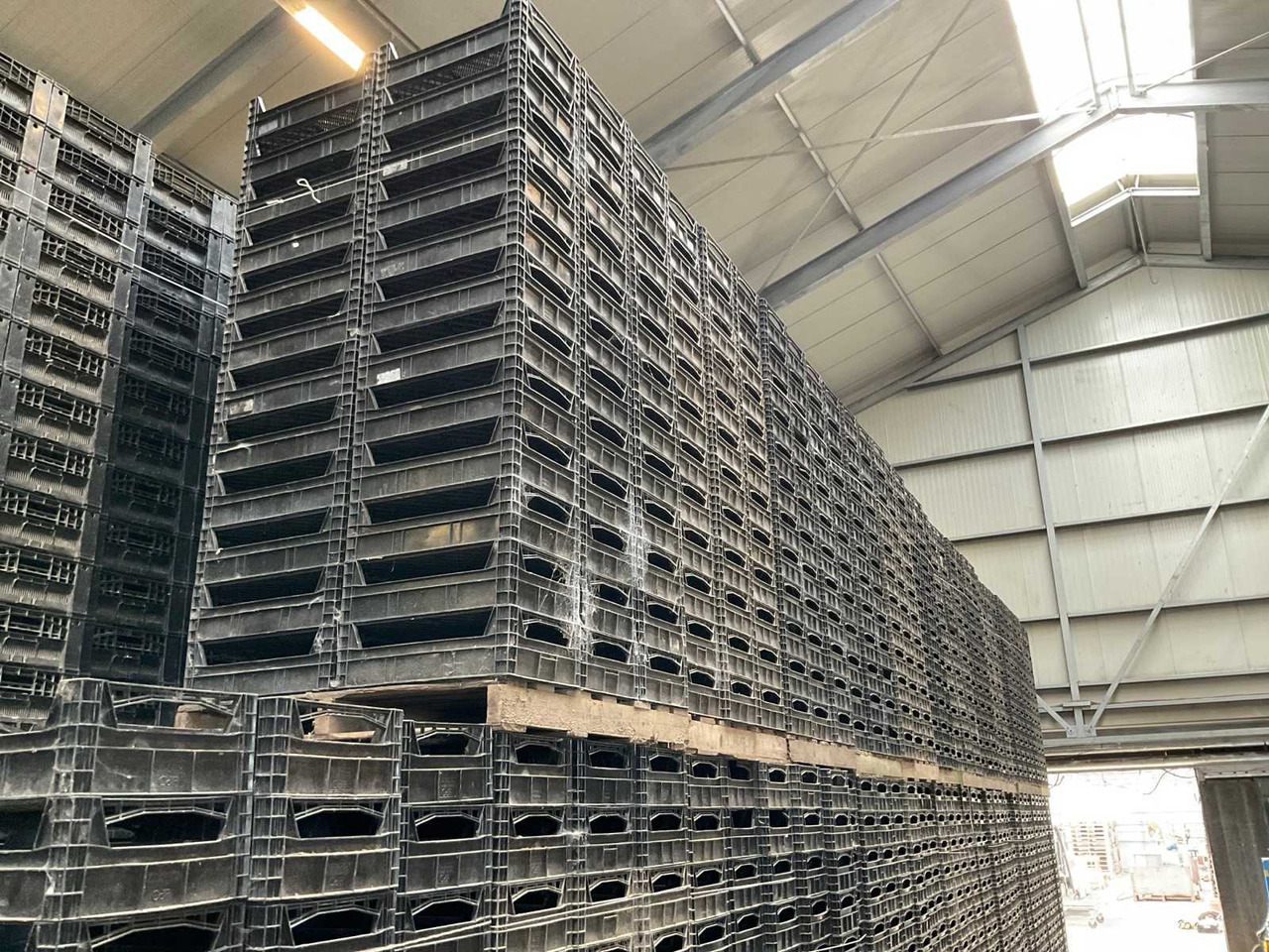 Ringo Plast 595x395x190 - Equipo poscosecha: foto 4 Ringo Plast 595x395x190 - Equipo poscosecha: foto 4