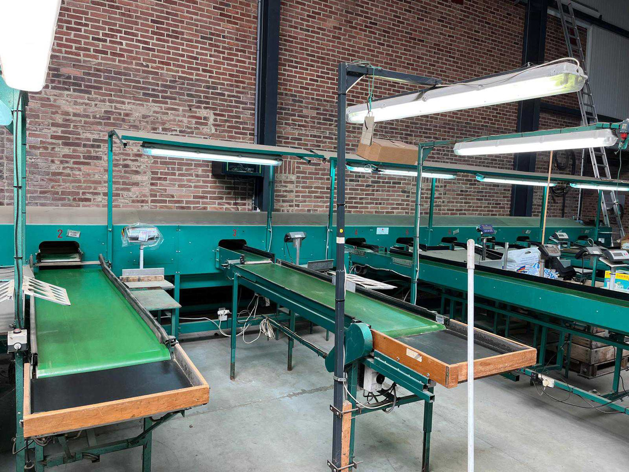 Schoemans - Equipo poscosecha: foto 5 Schoemans - Equipo poscosecha: foto 5