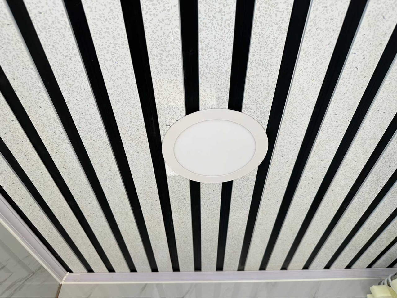 Casa contenedor Stahlworks Deluxe: foto 19