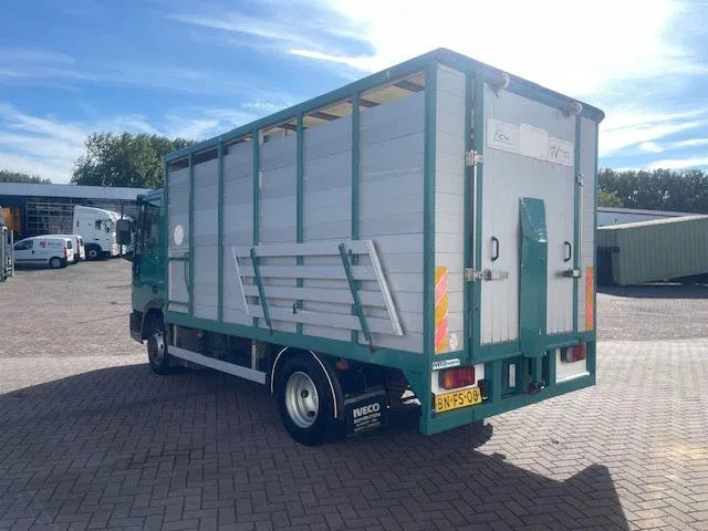 Iveco EuroCargo 65 FULL STEEL / MANUAL-GEAR - Camión chasis: foto 5 Iveco EuroCargo 65 FULL STEEL / MANUAL-GEAR - Camión chasis: foto 5