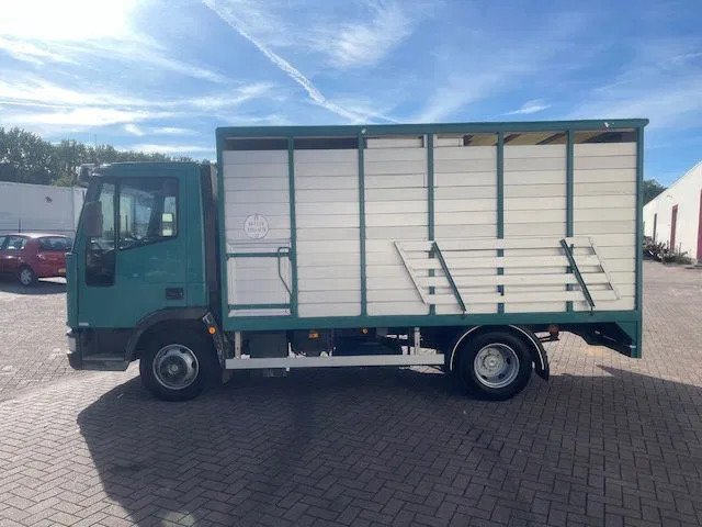 Iveco EuroCargo 65 FULL STEEL / MANUAL-GEAR - Camión chasis: foto 4 Iveco EuroCargo 65 FULL STEEL / MANUAL-GEAR - Camión chasis: foto 4