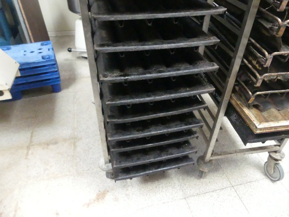 2 Chariots de four avec platine à baguettes - Maquinaria de panadería: foto 5 2 Chariots de four avec platine à baguettes - Maquinaria de panadería: foto 5