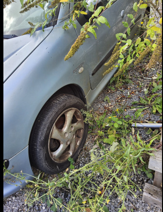 Peugeot 206 hdi - Coche: foto 4 Peugeot 206 hdi - Coche: foto 4