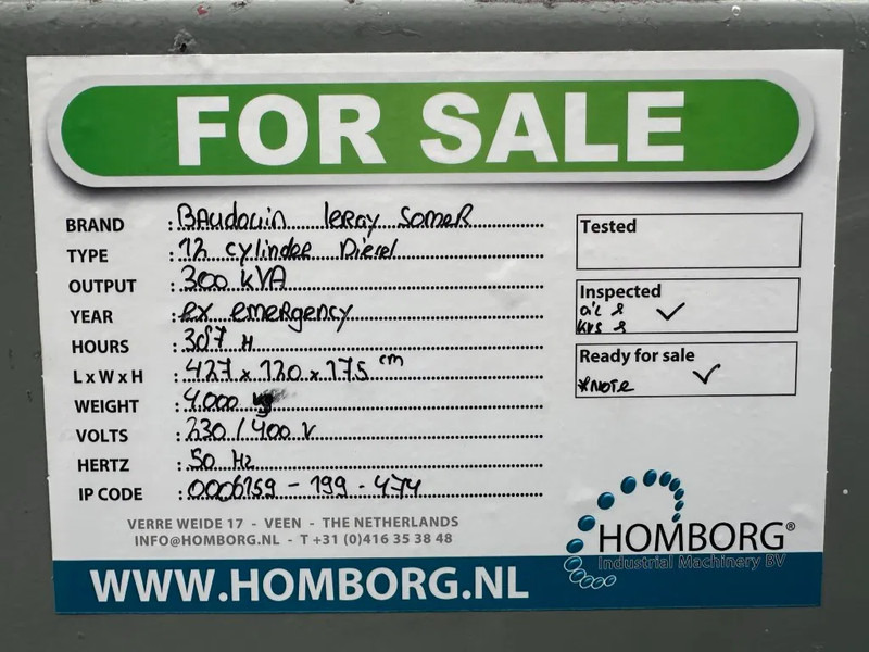 Generador industriale Baudouin Leroy Somer 300 kVA noodstroom generatorset ex Emergency: foto 12
