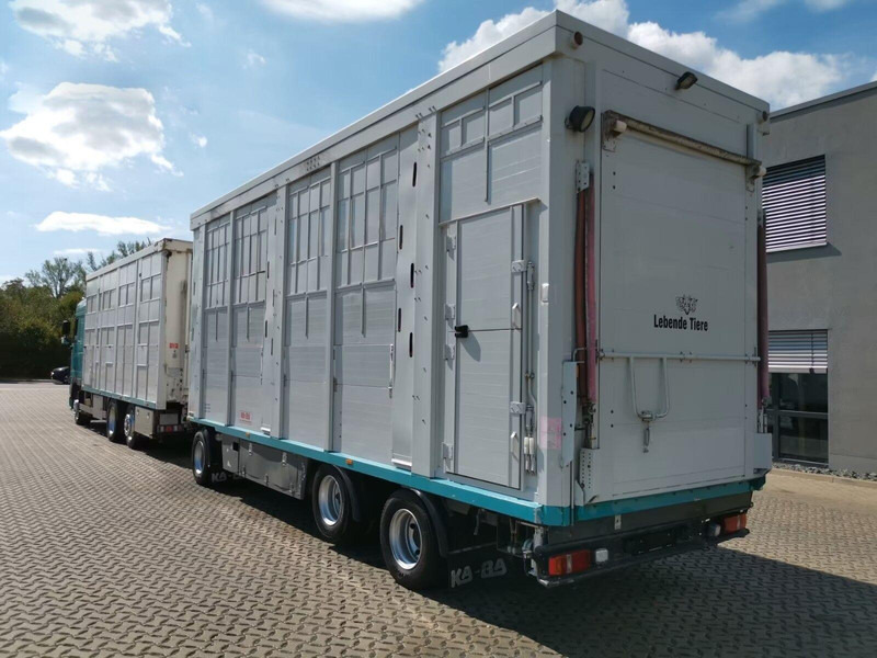 DAF XF 105.460 - Animal transporter + trailer - Camión transporte de ganado: foto 4 DAF XF 105.460 - Animal transporter + trailer - Camión transporte de ganado: foto 4