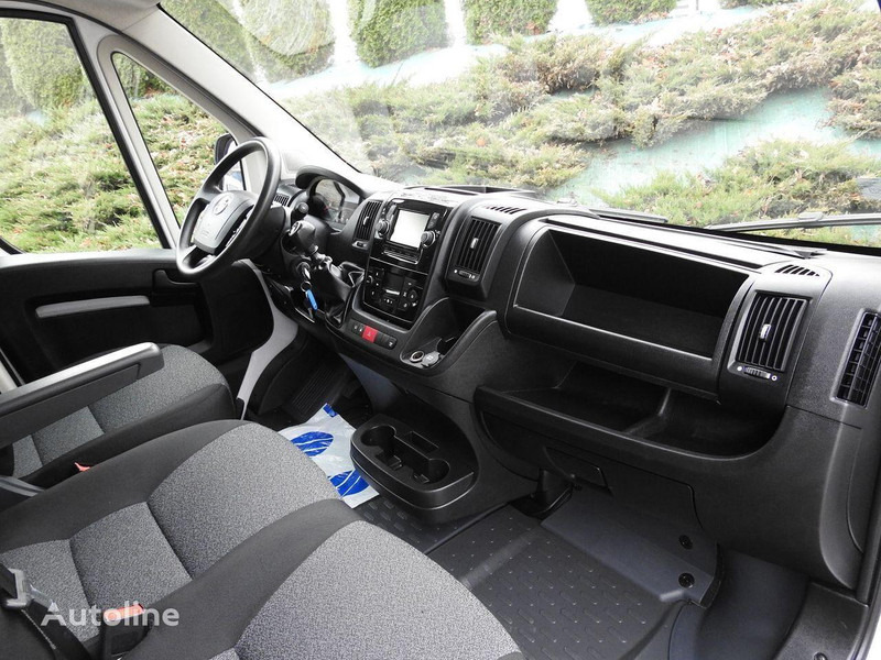 Camión caja cerrada Fiat Ducato Pritsche + Plane: foto 19