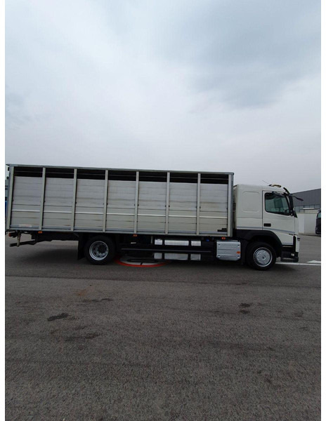 Volvo FM 500 Viehtransporter ( Rind / beef ) - Camión transporte de ganado: foto 4 Volvo FM 500 Viehtransporter ( Rind / beef ) - Camión transporte de ganado: foto 4