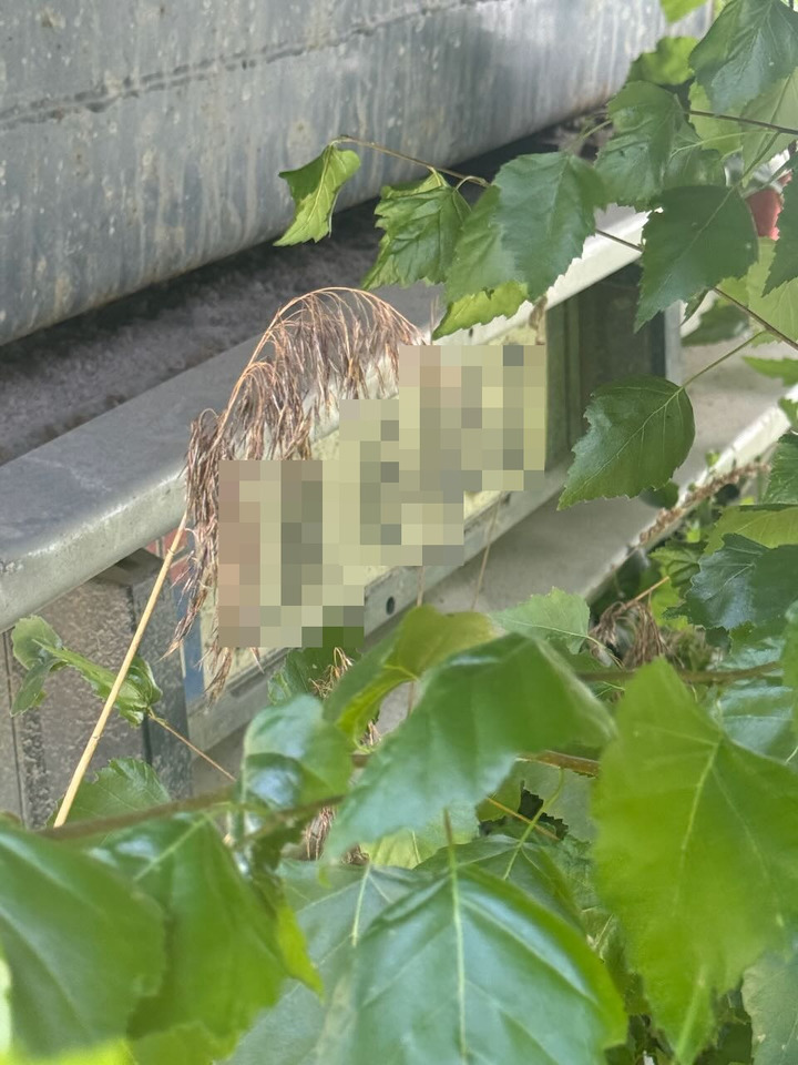 Semirremolque volquete Lagendorf Tippsemi: foto 12