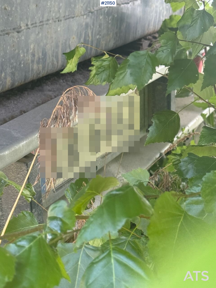 Semirremolque volquete Lagendorf Tippsemi: foto 13