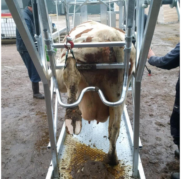 Maquinaria ganadera nuevo Klauwbekapbox Type L: foto 6 Maquinaria ganadera nuevo Klauwbekapbox Type L: foto 6