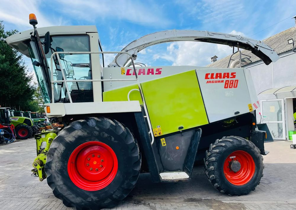 Arrendamiento de  Claas Jaguar 880 Claas Jaguar 880: foto 6